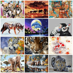 Animals Paint By Numbers