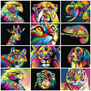 Paints By Numbers Animals