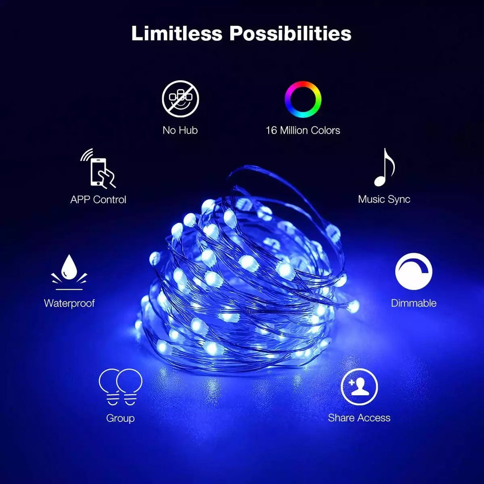 USB LED String Light(Bluetooth+App Control)